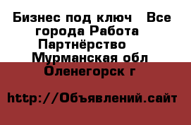 Бизнес под ключ - Все города Работа » Партнёрство   . Мурманская обл.,Оленегорск г.